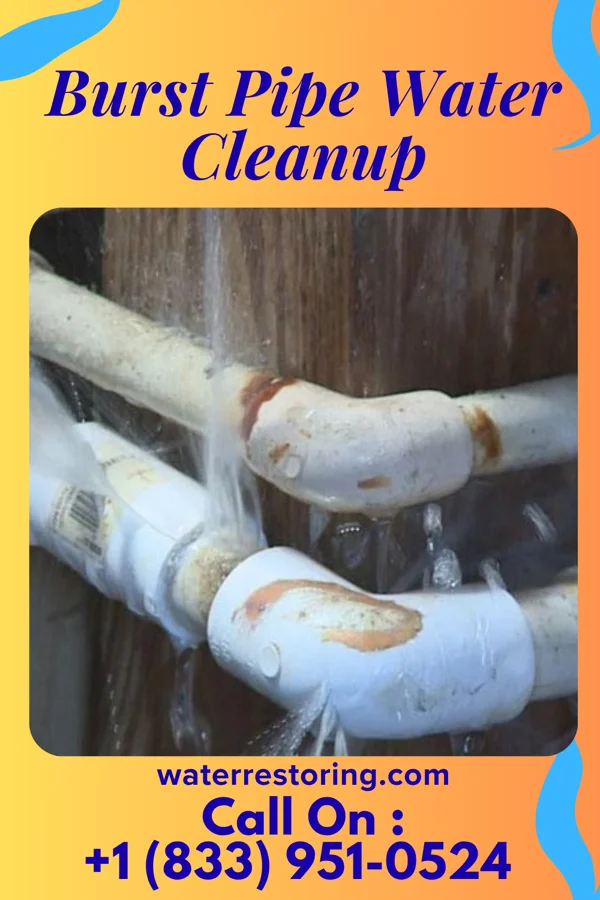 Burst Pipe Water Cleanup in Manchester, MI
