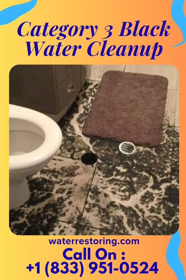 Category 3 Black Water Cleanup in Manchester, MI