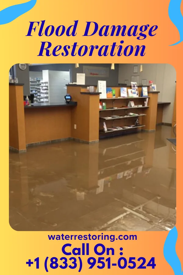 Flood Damage Restoration in Manchester, MI