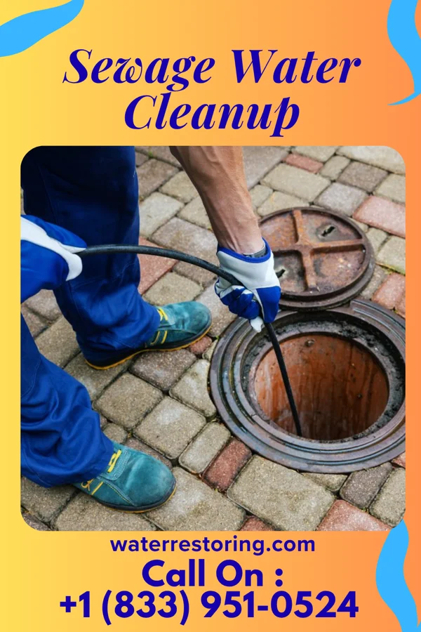 Sewage Water Cleanup in Manchester, MI